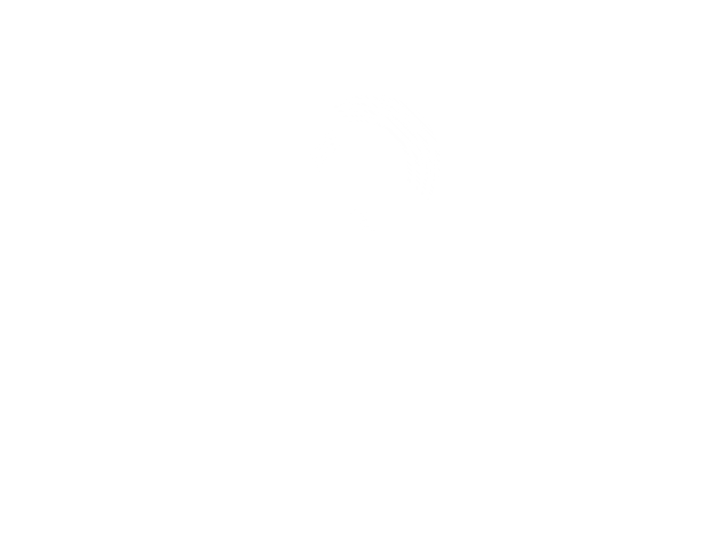 Logo Abeeway white